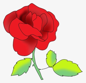 Flower Image Gallery Red Rose - Drawing, HD Png Download, Transparent PNG