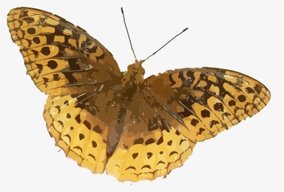 Brown Orange Butterfly, HD Png Download, Transparent PNG