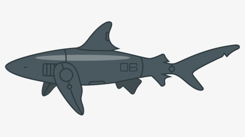 Image Is Not Available - Shark, HD Png Download, Transparent PNG