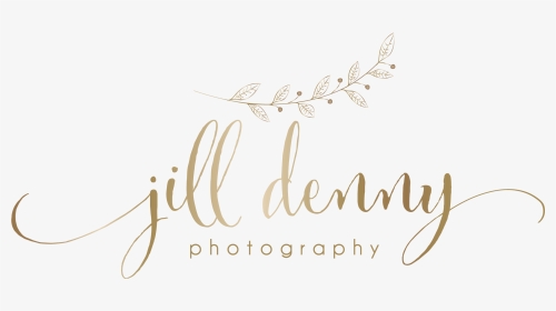 Jill Denny Wedding Family Photographer - Calligraphy, HD Png Download, Transparent PNG