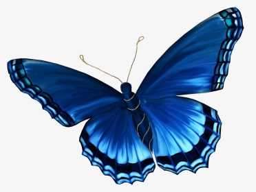 Transparent Light Blue Butterfly, HD Png Download, Transparent PNG