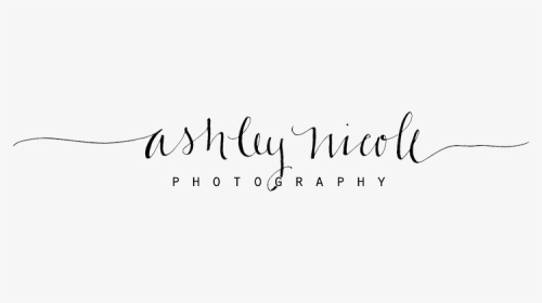 Columbia Sc Photographer - Calligraphy, HD Png Download, Transparent PNG