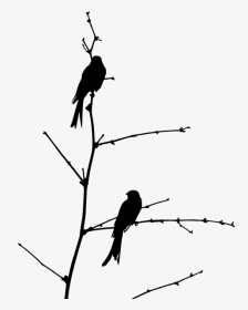 Vinyl Decorative Birds On Branch - 9788425432026, HD Png Download, Transparent PNG