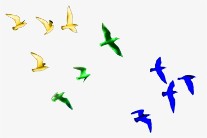 #birds #colorfulbirds - Transparent Birds Flying Png, Png Download, Transparent PNG