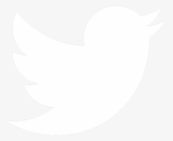 Thumb Image - Twitter Bird White Png, Transparent Png, Transparent PNG