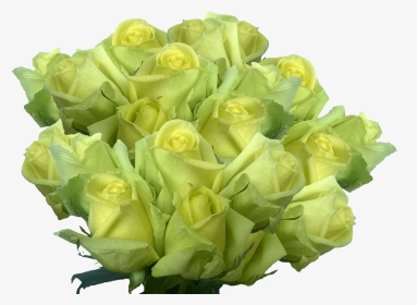 Cheap Light Green Roses Huge Rose Flowers Bouquet Pale, HD Png Download, Transparent PNG