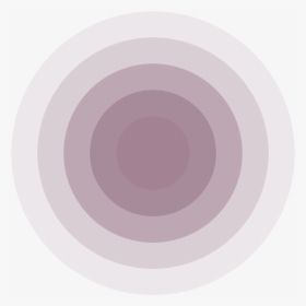 Circle, HD Png Download, Transparent PNG