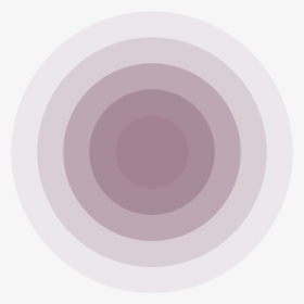 Circle, HD Png Download, Transparent PNG