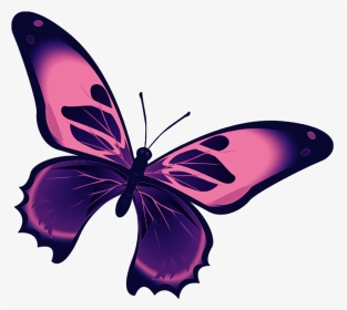 #butterfly #mariposa #diurna #day #diurnal #spring - Kupu Kupu Hitam Putih, HD Png Download, Transparent PNG