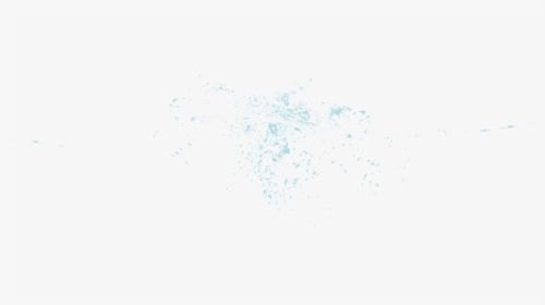 Flock, HD Png Download, Transparent PNG