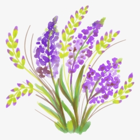 ดอกไม้ สี น้ํา ง่ายๆ, HD Png Download, Transparent PNG