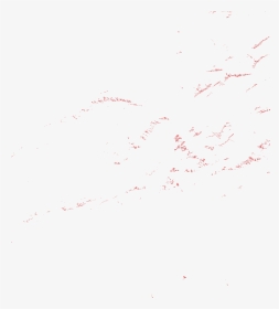 Flock, HD Png Download, Transparent PNG