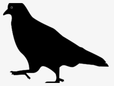 Pigeon Clipart Silhouette, HD Png Download, Transparent PNG