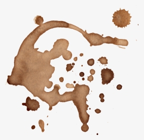 Transparent Coffee Splatter Clip Art, HD Png Download, Transparent PNG