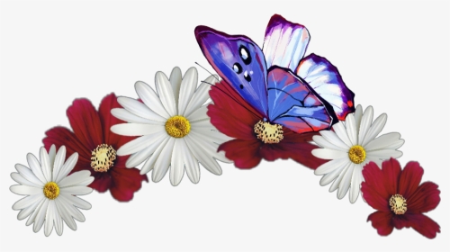 #flower #crown #butterfly #red #white #jhyuri - Marguerite Daisy, HD Png Download, Transparent PNG
