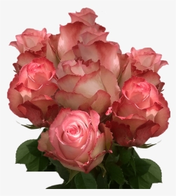 Real Light Peach Roses Cheap Cut Roses Fresh Flowers, HD Png Download, Transparent PNG