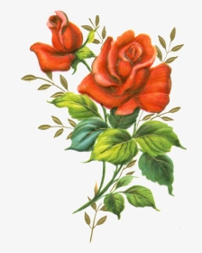 More Like Red Rose Png By Jinifur - Red Rose, Transparent Png, Transparent PNG