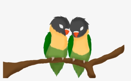 Love Birds By Anime - Gambar Love Bird Anime, HD Png Download, Transparent PNG