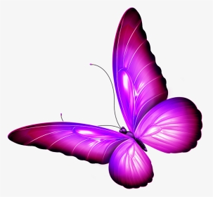 #butterfly #wings #pink #purple #shaded #wingedcreatures - Brush-footed Butterfly, HD Png Download, Transparent PNG