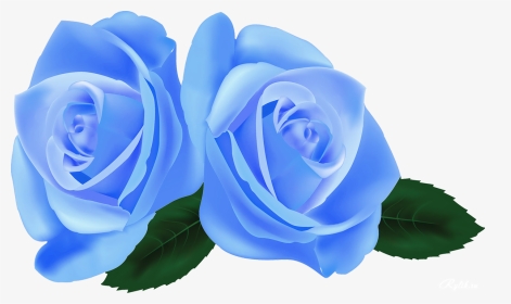 Beautiful Roses Vectors, HD Png Download, Transparent PNG