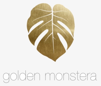 Download - Golden Monstera, HD Png Download, Transparent PNG