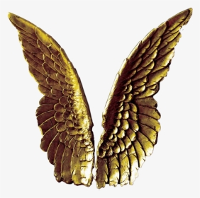 #angelwings #gold #golden #freetoedit #scangelwings - Angel Wings Decor, HD Png Download, Transparent PNG