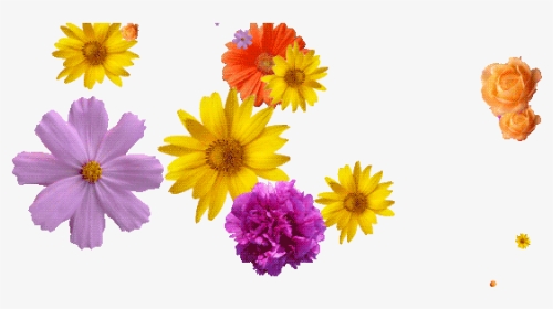 Falling Flowers Gif Transparent, HD Png Download, Transparent PNG