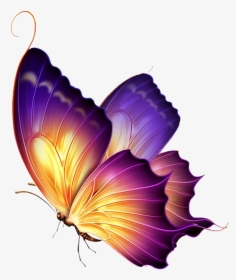 #colormehappy #butterflies #nature #naturestickers - Butterfly Background Hd Png, Transparent Png, Transparent PNG