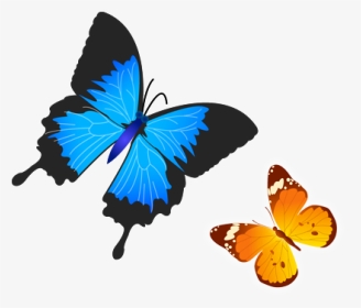 Flying Butterfly Png Download - Butterfly Flying Png, Transparent Png, Transparent PNG
