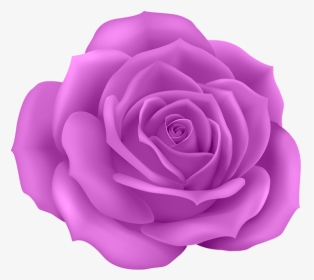 Blue Roses Png, Transparent Png, Transparent PNG