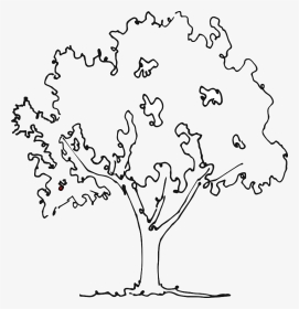 Apple Tree Black And White Cartoon Illustration Of - Apple Tree For  Coloring, HD Png Download , Transparent Png Image - PNGitem