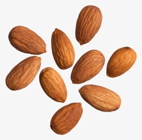 Almonds White Background, HD Png Download, Transparent PNG
