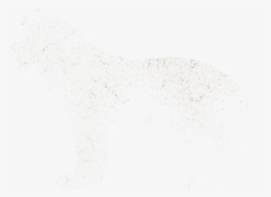 Flock, HD Png Download, Transparent PNG