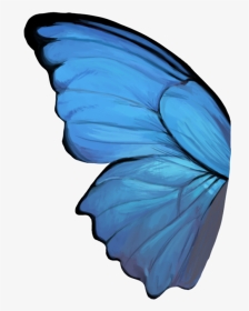 Butterfly Wing - Blue Butterfly Wings Png, Transparent Png, Transparent PNG