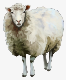 Sheep, HD Png Download, Transparent PNG