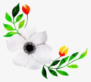 Mandevilla, HD Png Download, Transparent PNG