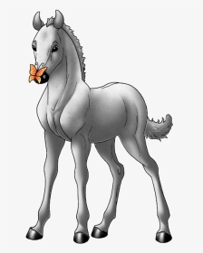 Andalusian, HD Png Download, Transparent PNG