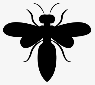 Bee - Net-winged Insects, HD Png Download, Transparent PNG