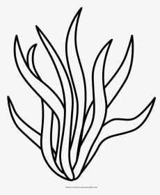 Seaweed Clipart Black And White, HD Png Download, Transparent PNG