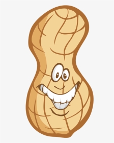 Clipart Peanut Nut Transparent, HD Png Download, Transparent PNG