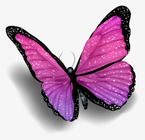 #schmetterling #butterfly #rosa #purple #lila #pink - Butterfly With Shadow Png, Transparent Png, Transparent PNG