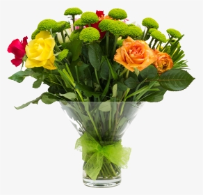 Clip Art Beach Rose Flower Vase - Rose Santini, HD Png Download, Transparent PNG