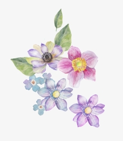 Four Color Flower Transparent Decorative - Transparent Background Decorative Flower Transparent, HD Png Download, Transparent PNG