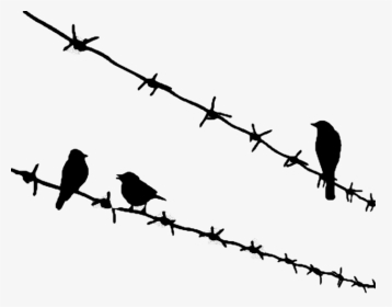 Bird Png Download - Birds Sitting On Wire Tattoo, Transparent Png, Transparent PNG