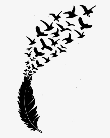 Feather And Birds Svg, HD Png Download, Transparent PNG