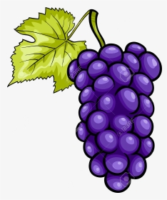 Racimo De Uvas Animadas Clipart , Png Download - Purple Grapes Clipart, Transparent Png, Transparent PNG