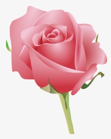 Transparent Pink Petals Png - Pink Rose With Good Morning, Png Download, Transparent PNG