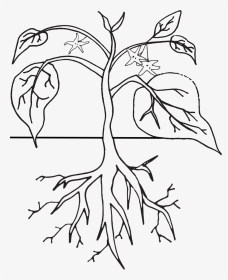 Png Black And White Download Click On Images To Download - Plants Coloring Pages, Transparent Png, Transparent PNG