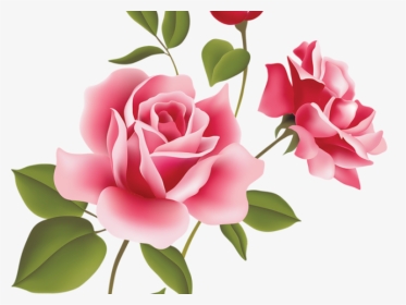 Rose Flower Image Hd, HD Png Download, Transparent PNG