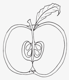 Cut Apple Coloring Page, HD Png Download, Transparent PNG